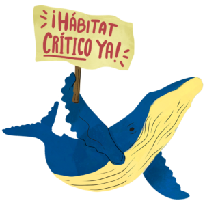 ballena_cartel_habitat_critico