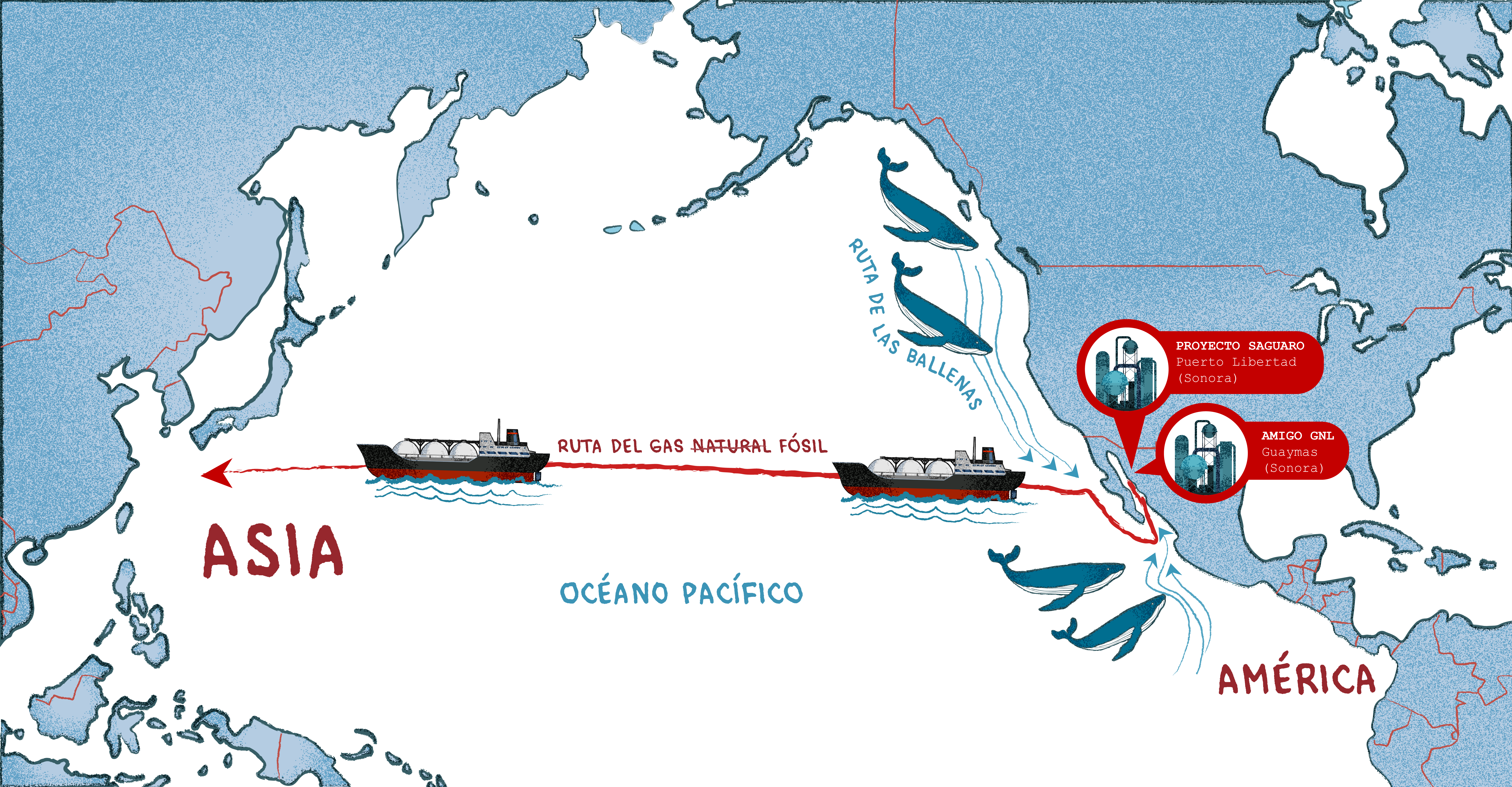 Protejamos el Golfo de California